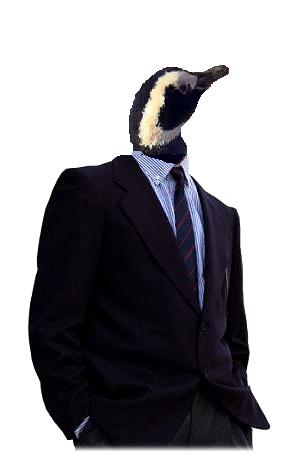 buisness-penguin.jpg