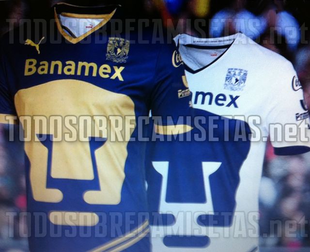 Pumas11main.jpg
