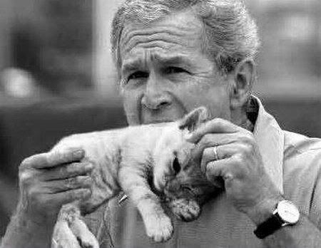 george-bush-eats-a-kitten.jpg