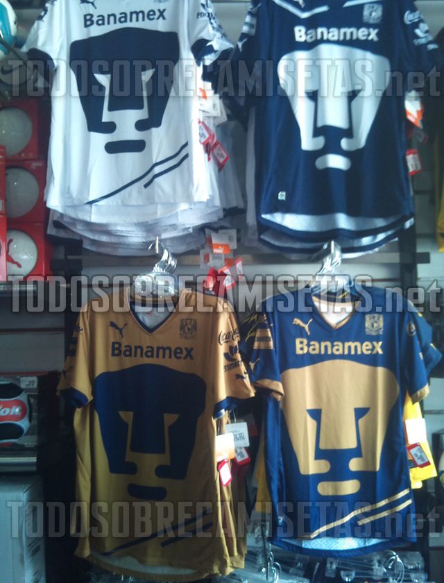 Pumas11last.jpg