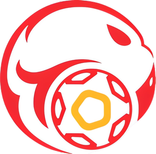 Kyrgyzstan_national_football_team.png