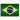 20px-BrazilFlag.png