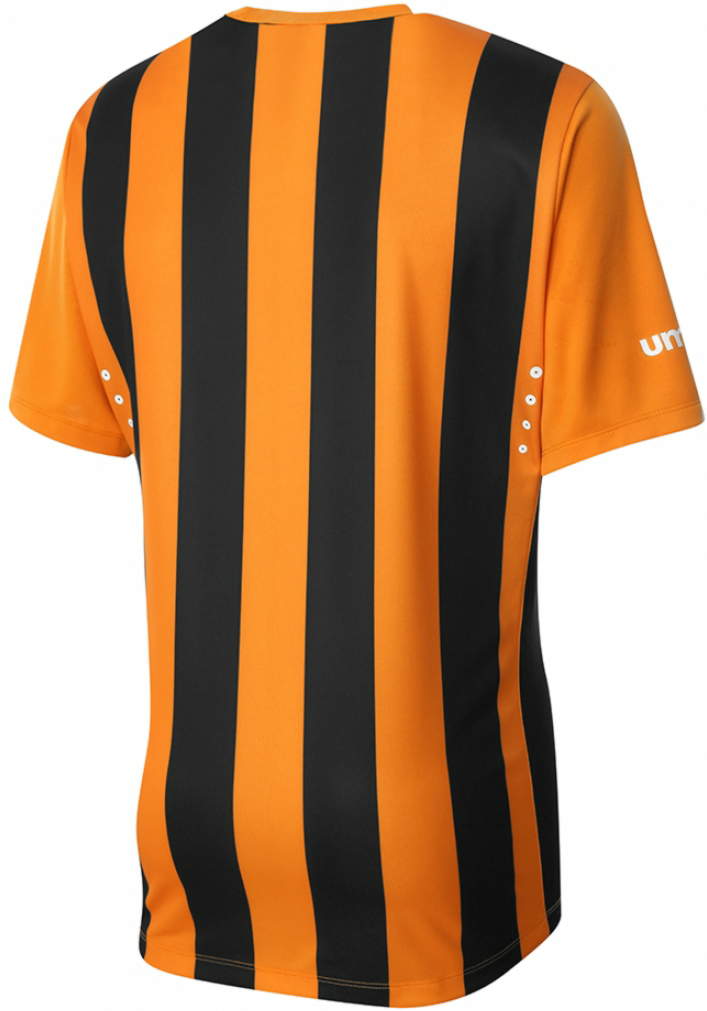 Umbro-Hull-City-14-15-Home-Kit+(2).jpg