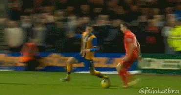 8353550515_550f0f3631_o.gif