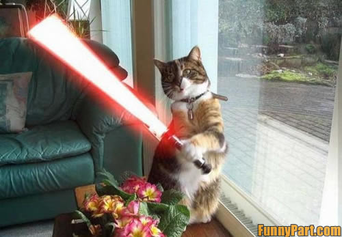 FunnyPart-com-star_wars_cat.jpg