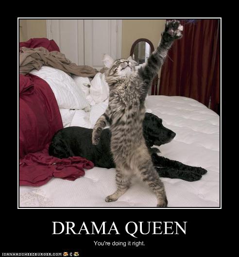 drama-queen-posters_jpg2.jpg