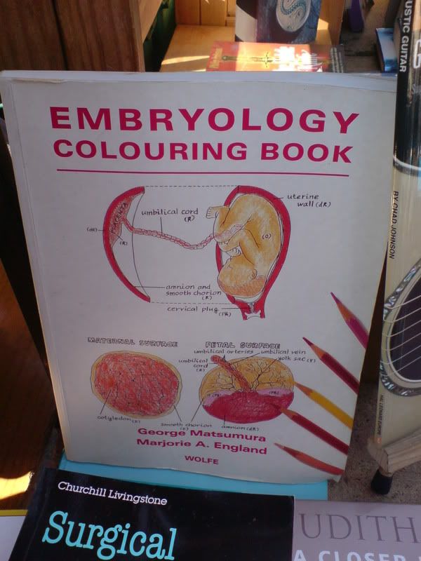 embriology.jpg