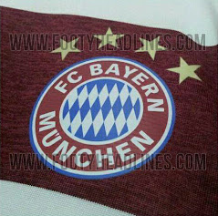 Bayern+14-15+Away+Kit+Detail+(1).JPG