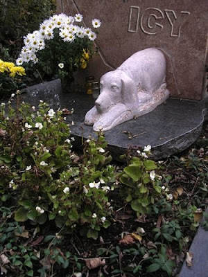 ariel_dog_grave-2.JPG