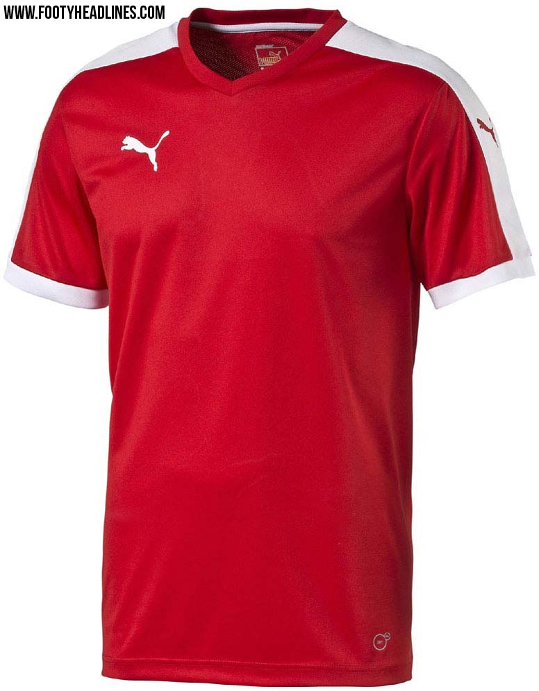 Puma-Pitch-2015-2016-Teamwear-Shirt%2B%281%29.jpg