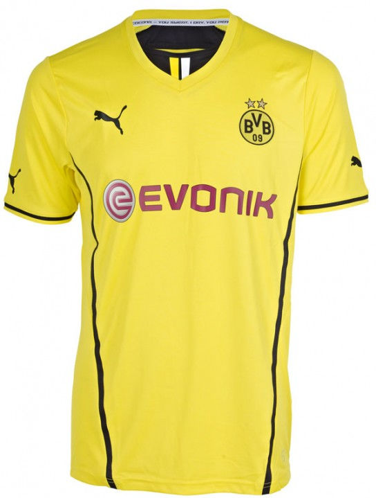 BorussiaDortmund1314.jpg