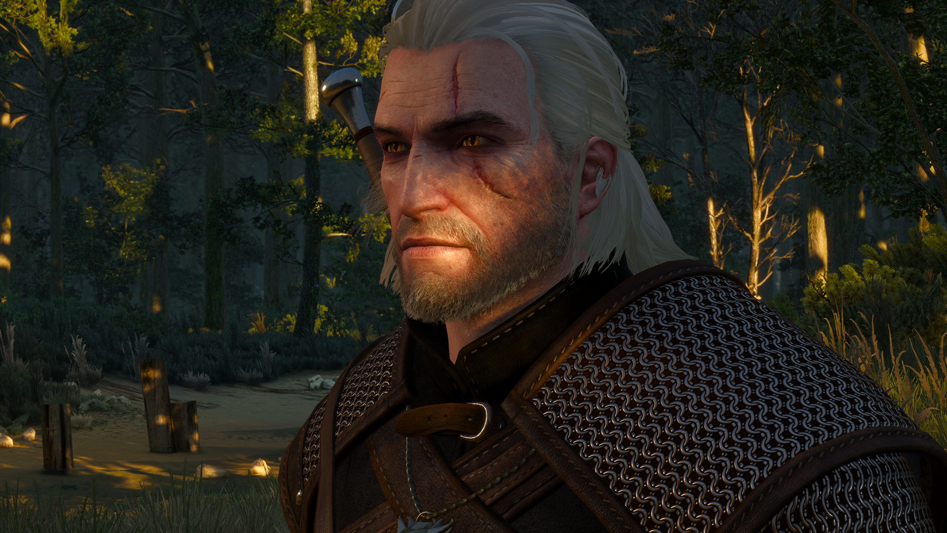 the-witcher-3-wild-hunt-pc-screenshot-002.png