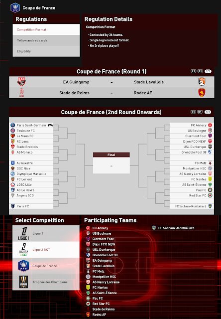 FL27 france ligue2 and cup FL27 france ligue2 and cup